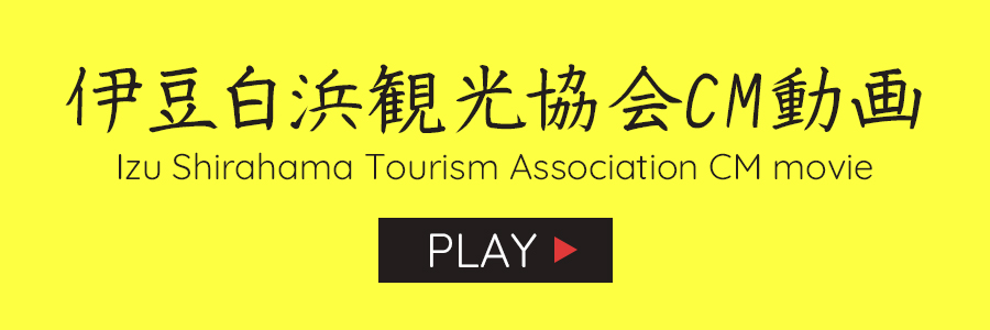 伊豆白浜の観光情報が満載 伊豆白浜観光協会公式サイト