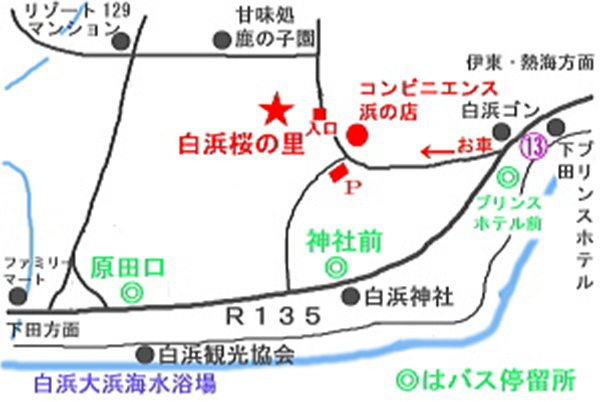 白浜桜の里