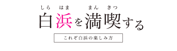 白浜を満喫する