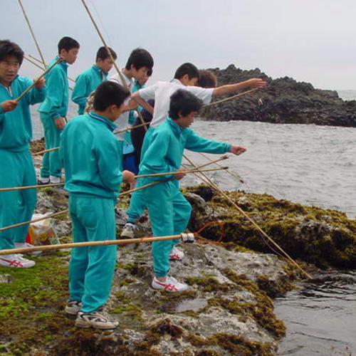 体験学習の様子