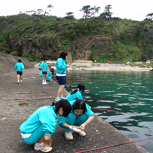 体験学習の様子