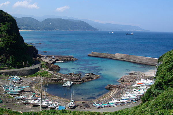 白浜・板見港