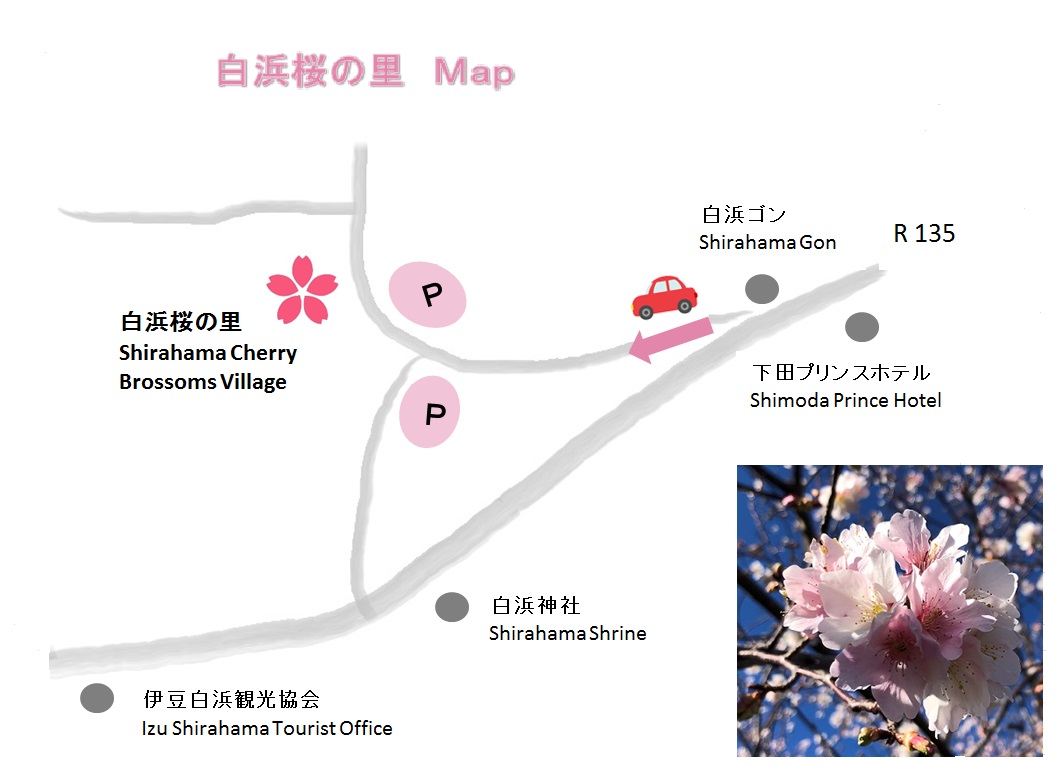 白浜桜の里map 3