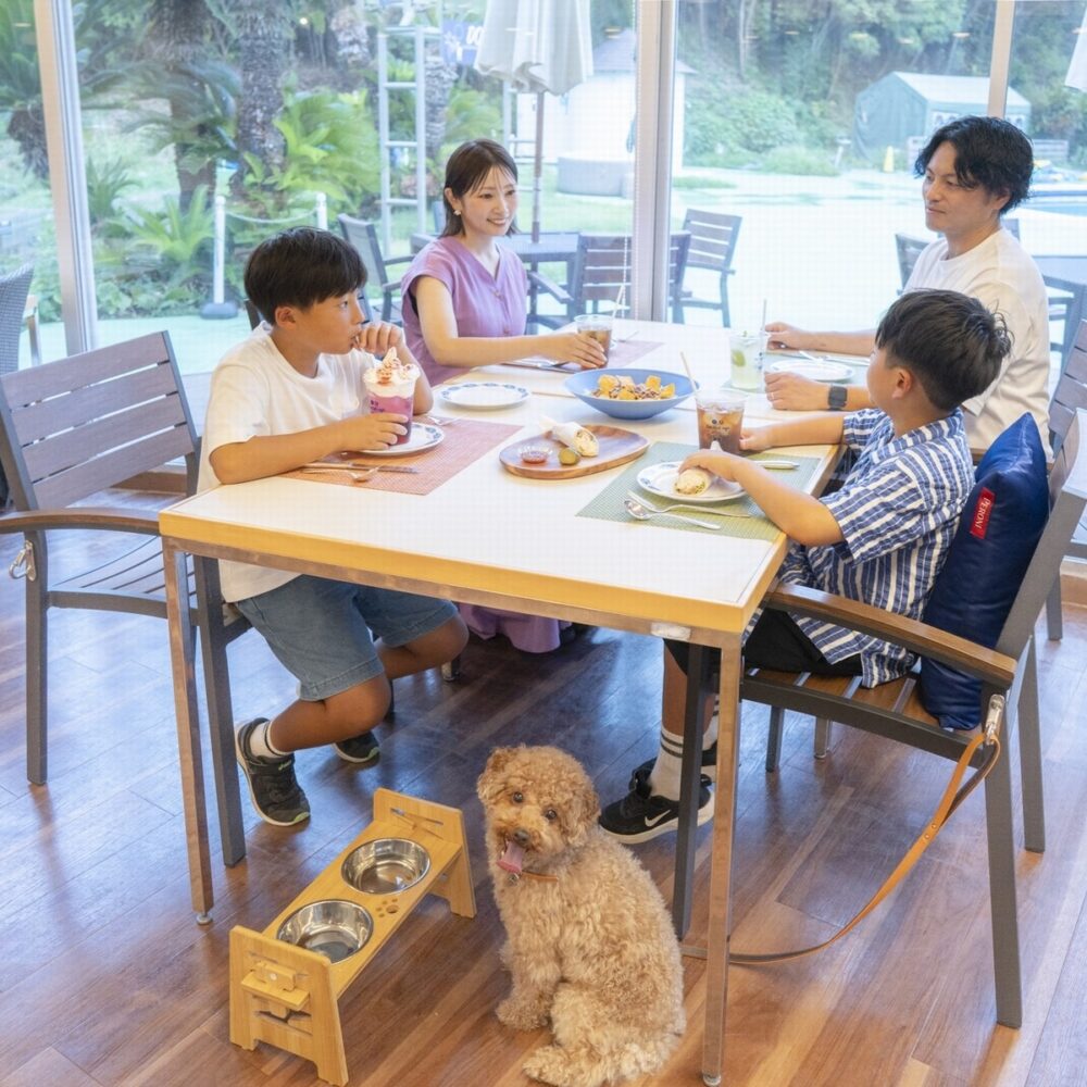 ㈱日本健康堂